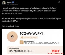 Ross Ulbricht尚有430枚比特币?川普特赦后可衣食无缺? Ross Ulbricht尚有430枚比特币?川普特赦后可衣食无缺?