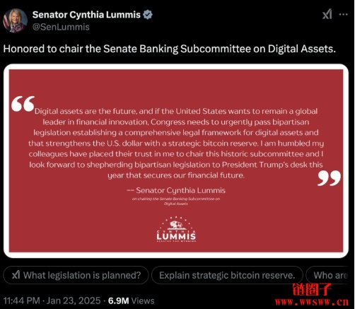 Cynthia Lummis 被选为参议院数字资产小组委员会主席