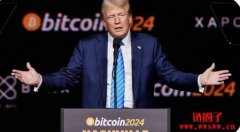 川普迷因币TRUMP一个周末暴涨700倍，为何剧情突然急转直下？