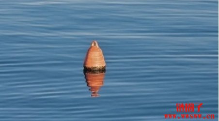 美联储宣布将维持利率不变，2025年降息前景会怎样？