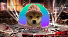 迷因币Dogwifhat/WIF币登上拉斯维加斯Sphere恐梦碎？
