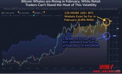 比特币巨鲸二月继续加仓，小型散户在市场波动中被迫离场