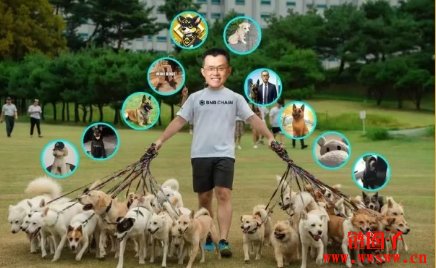 BROCCOLI之乱买哪只！CZ公告新宠物名称后BROCCOLI币百家争鸣