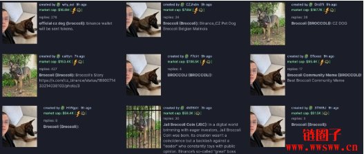 赵长鹏CZ曝光爱犬名字Broccoli，Broccoli币市值一度飙破2000万美元