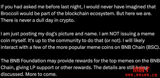 赵长鹏CZ曝光爱犬名字Broccoli，Broccoli币市值一度飙破2000万美元