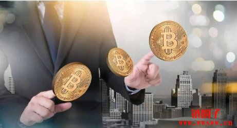 美国约20州份启动比特币战略储备立法，推动数字资产融入传统金融