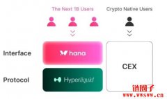 Hana Network 是什么？Hana Network 解决了什么问题？