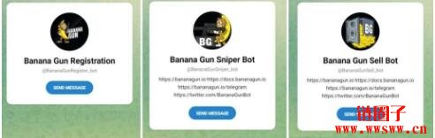 BANANA是什么币？BANANA币价格预测与未来前景如何？