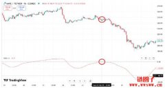 什么是 TRIX指标?如何在交易中使用 TRIX指标? 什么是 TRIX指标?如何在交易中使用 TRIX指标?