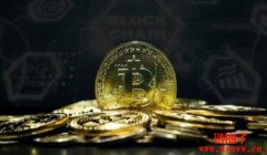 这一新兴全球趋势成为买入比特币的新理由