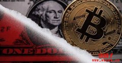 美元走弱利多比特币!Bitwise:BTC年底上看20万美元 美元走弱利多比特币!Bitwise:BTC年底上看20万美元
