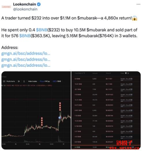 什么是Mubarak币？是什么推动了Mubarak币的流行？