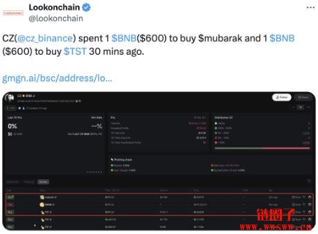 什么是Mubarak币？是什么推动了Mubarak币的流行？