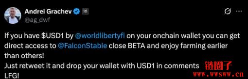 USD1是什么币?USD1背后的团队和合作伙伴