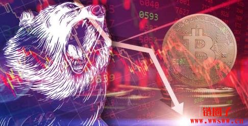加密寒冬来袭?比特币、前50大币种跌入熊市区域