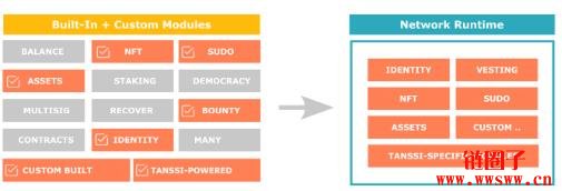 什么是Tanssi Network?TANSSI代币经济模型详解