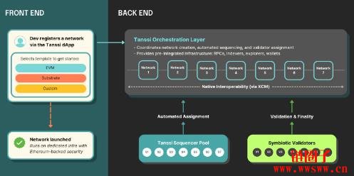什么是Tanssi Network?TANSSI代币经济模型详解