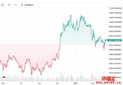 比特币减半满周年,机构进场加速牛市节奏 比特币减半满周年,机构进场加速牛市节奏