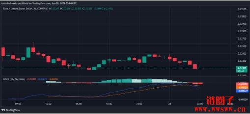 BLAST价格预测2025-2030:BLAST币会达到0.05美元吗?