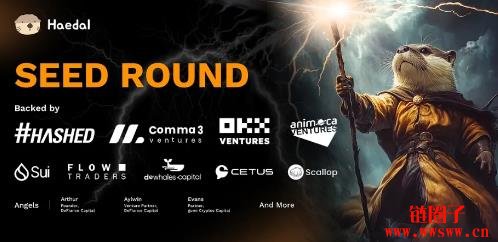 HAEDAL币是什么?HAEDAL币空投、价格及未来前景如何?