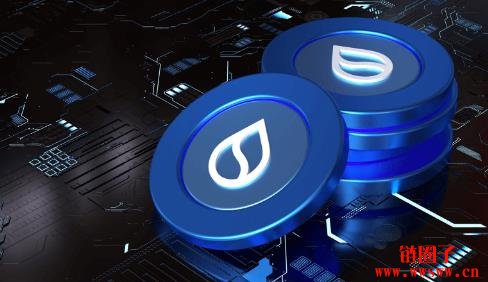 什么是SUI区块链?SUI生态系统及其关键组成部分