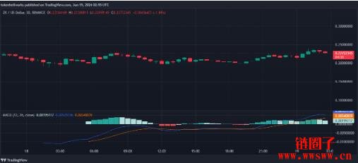 zkSync(ZK)价格预测2025-2030:ZK币会达到2美元吗?