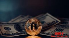 <b>什么是加密货币交易中的身份盗窃?常见的诈骗手段</b> <b>什么是加密货币交易中的身份盗窃?常见的诈骗手段</b>