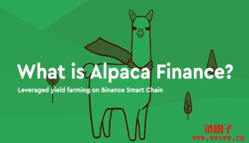 ALPACA币是什么?ALPACA币价格预测以及未来前景如何?