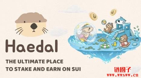 什么是Haedal协议以及HAEDAL代币?如何运作?