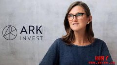 木头姐逢低入市,大手笔抄底Coinbase 股票! 木头姐逢低入市,大手笔抄底Coinbase 股票!