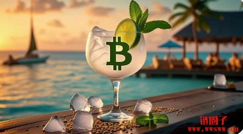 渡假圣地变身加密中心!马尔代夫打造88亿加密自由金融特区