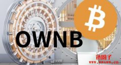 Bitwise推出OWNB ETF,一站购足比特币储备策略公司 Bitwise推出OWNB ETF,一站购足比特币储备策略公司