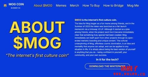 MOG币是什么？Mog币代币经济学与价格分析预测