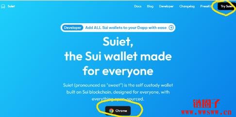 Sui常用钱包有哪些?Sui钱包教学(主要以Suiet为例)