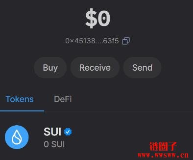Sui常用钱包有哪些?Sui钱包教学(主要以Suiet为例)