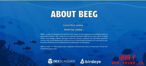 BEEG币是什么?与Beeg.com有关吗?BEEG币未来价格预测