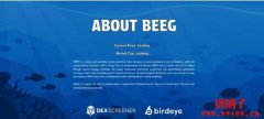 BEEG币是什么?与Beeg.com有关吗?BEEG币未来价格预测 BEEG币是什么?与Beeg.com有关吗?BEEG币未来价格预测