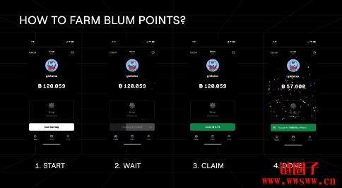 什么是Blum(BLUM币)?如何运作?