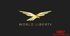 川普家族支持的WLFI 暗示将开通代币转帐功能 川普家族支持的WLFI 暗示将开通代币转帐功能