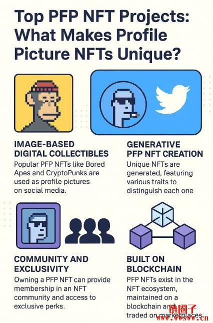 什么是头像NFT(PFP NFT)?为什么头像NFT是NFT市场的主流趋势