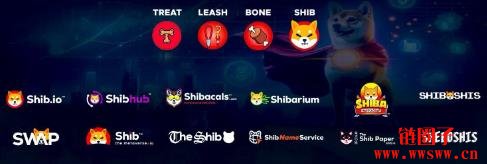 柴犬币2025年8月价格预测:SHIB在下跌21%后能否反弹?