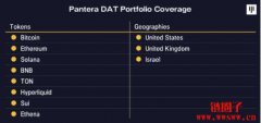 <b>Pantera已向加密储备公司投资3亿美元,投资人为何买单高mNAV?</b> <b>Pantera已向加密储备公司投资3亿美元,投资人为何买单高mNAV?</b>