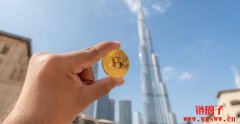阿联酋持有6300枚比特币，靠挖矿晋升第6大国家级巨鲸？