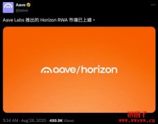 Aave推出Horizo​​n，机构也能抵押代币化资产借出稳定币？