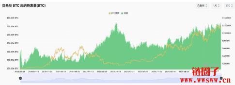 杠杆飙升与资金转向以太坊，分析师警告比特币短期仍存下行风险