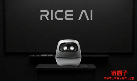 什么是RICE AI？RICE代币经济模型和未来前景
