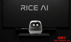 什么是RICE AI？RICE代币经济模型和未来前景