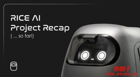 什么是RICE AI？RICE代币经济模型和未来前景
