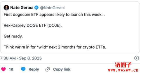 Dogecoin价格预测：DOGE币价格表现与ETF新闻的影响
