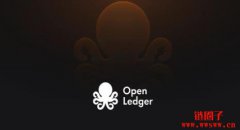 OpenLedger/OPEN币是什么?O OpenLedger/OPEN币是什么?O